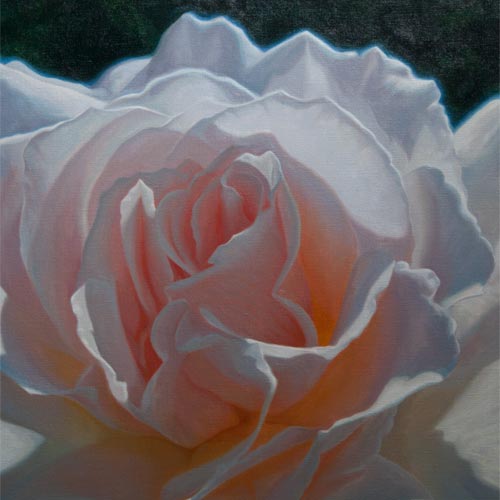 Rose Paintings and Floral Art