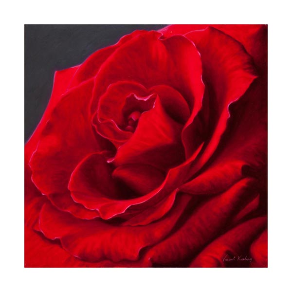 絵画 Red Rose D446859S_1.jpg