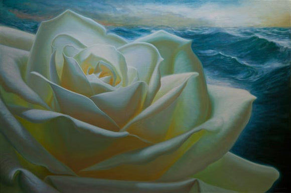 A New Large Painting of a White Rose, with an Unusual Background.