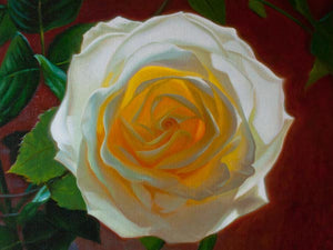 Solar Rose II: The story behind my new white rose painting