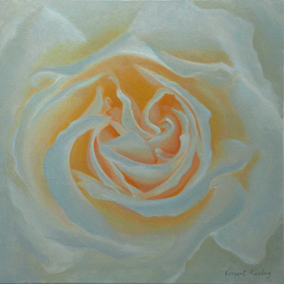 Painting of the interior petals of a white rose. oil on canvas