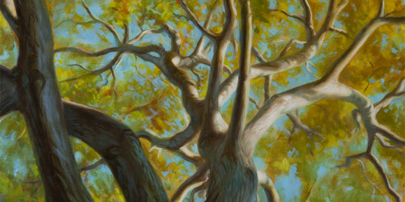 Oil painting of a walnut tree