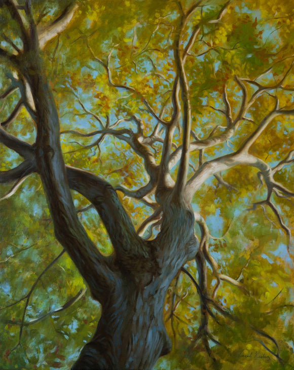 Benjamin - A walnut tree painting
