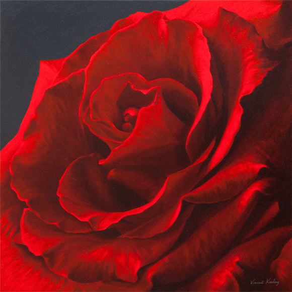 Print of a red rose from oil painting by Vincent Keeling