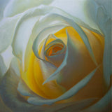 1 - Inner Light III - Oil Painting