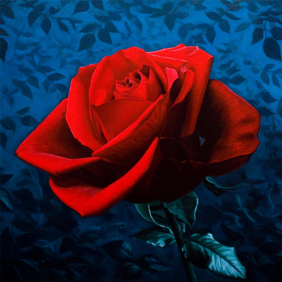 Midnight Rose - Limited Edition Print