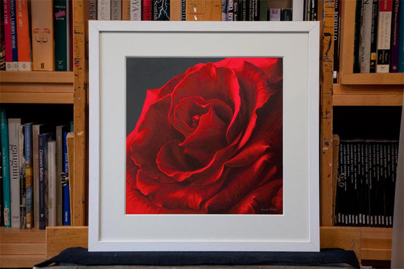 Inner Depths framed red rose print