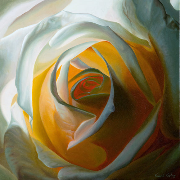 Inner Light - White Rose - Print
