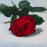 A Single Red Rose - Small Oil Painting