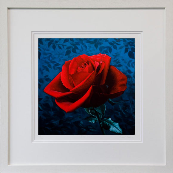 Midnight Rose - Limited Edition Print