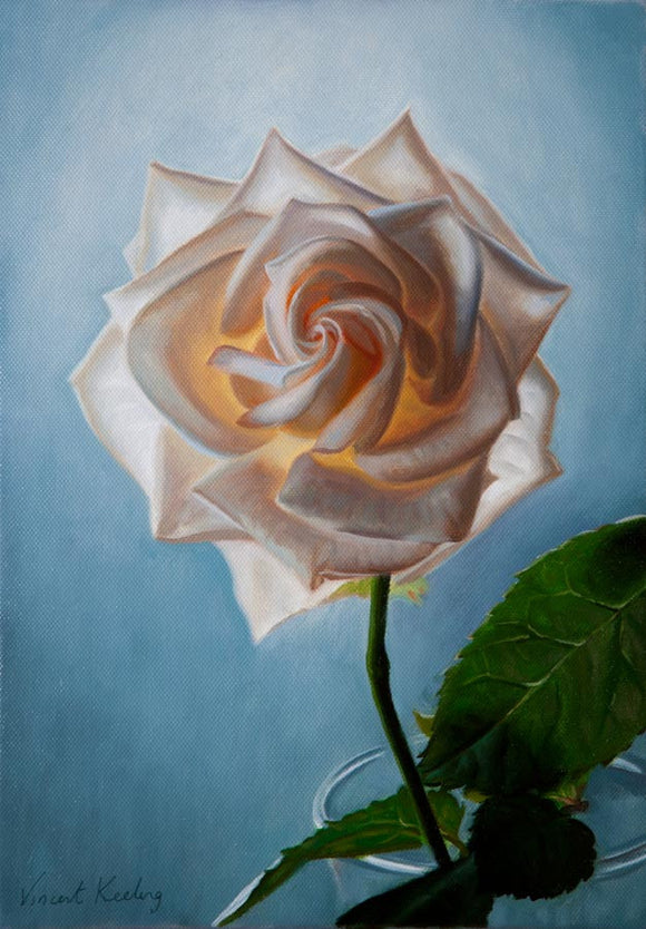 SOLD - White Rose, Warm Glow