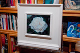 White Rose in Silvery Light - Oil Painting