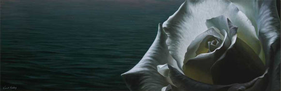 Still Waters, white rose - Oil Painting